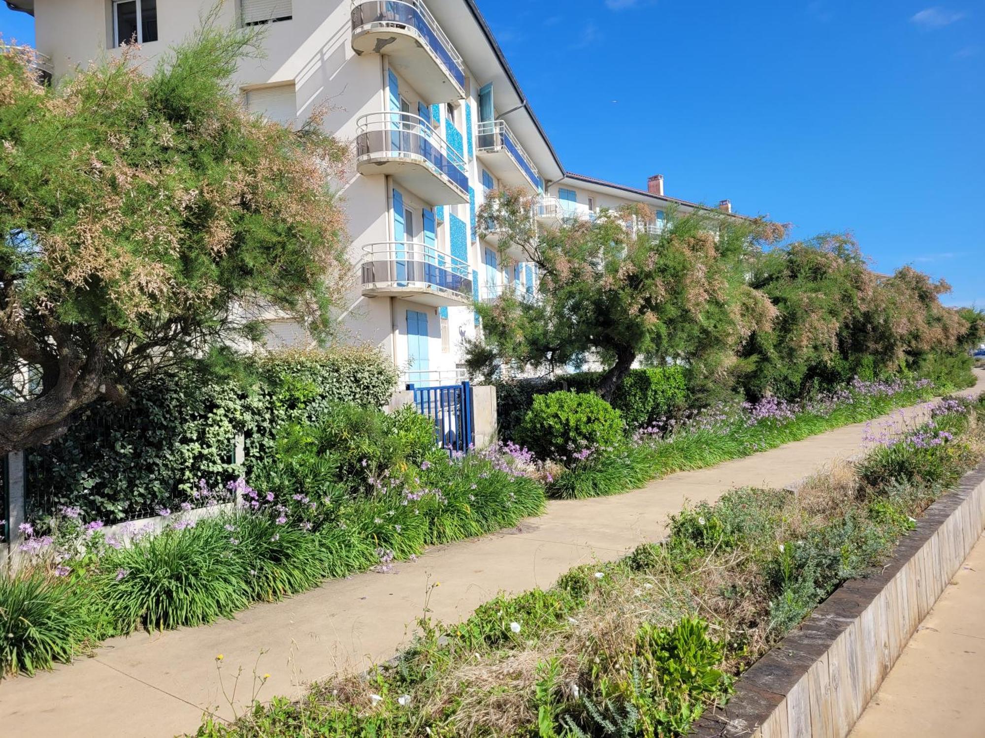 Sable - Appartement Renove Pour 4 Personnes Soorts-Hossegor Exteriör bild